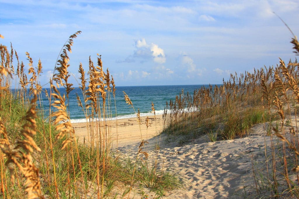 Outer Banks Spring Break 2024 - Celie Darleen